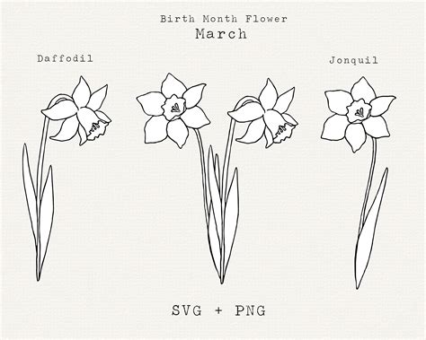Daffodil Svg Jonquil Svg March Birth Month Flowers March Etsy Daffodil Svg Jonquil Svg March Birth Month Flowers March Etsy