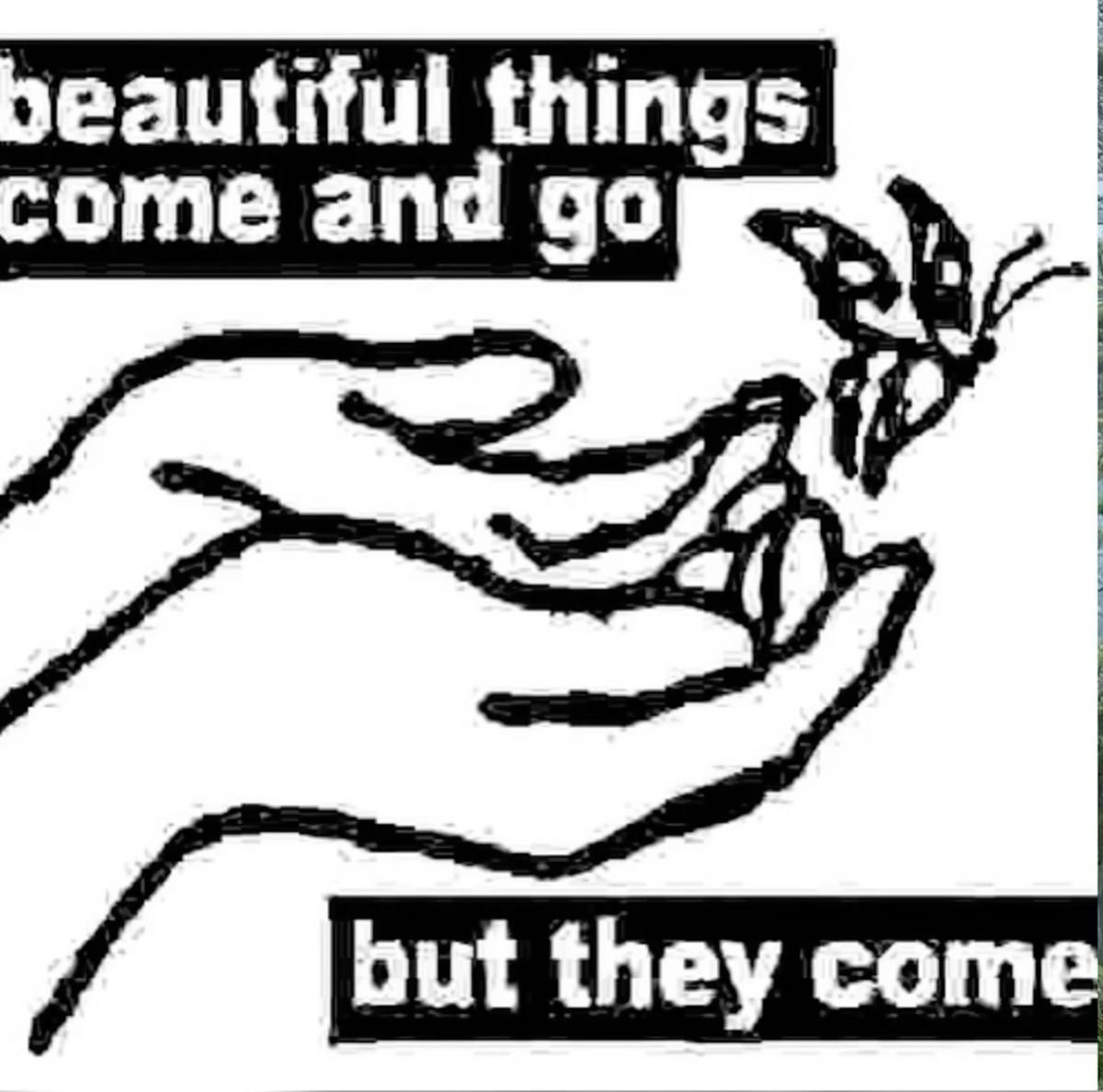 Daily Buddhist Practice For Beginners Alan Peto