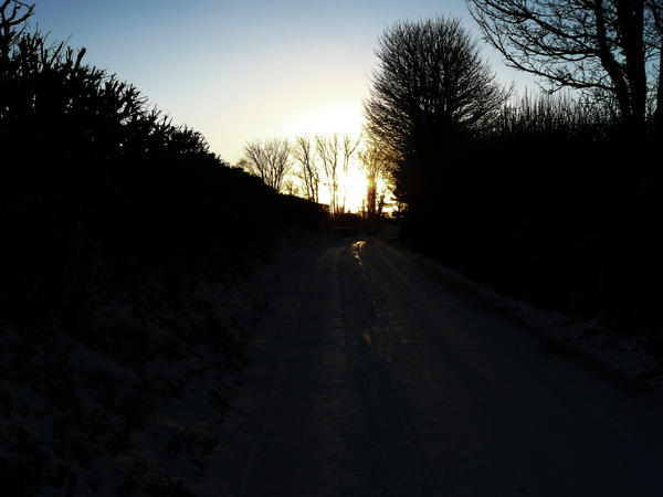 Unveiling the Mysteries of Dark Lanes in the Galactic Disk