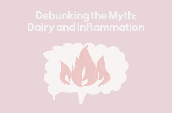 Debunking The Myth Dairy And Inflammation Lifeway Kefir