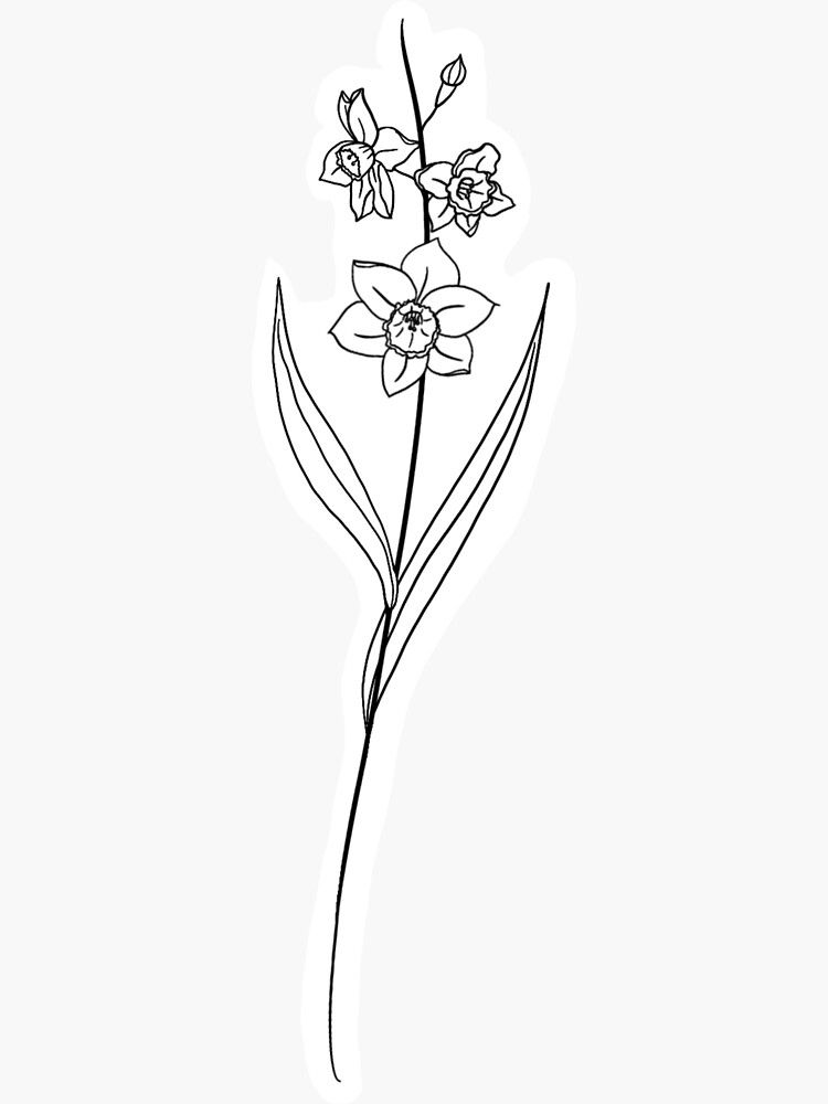 December Birth Flower Drawing: Creative Ideas & Tips