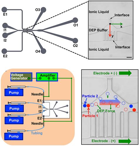 Dielectrophoretic Logic Manipulation: The Future of Micro-Control
