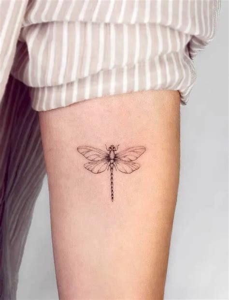 Discover 77 Dragonfly Tattoos For Females Best In Cdgdbentre Discover 77 Dragonfly Tattoos For Females Best In Cdgdbentre