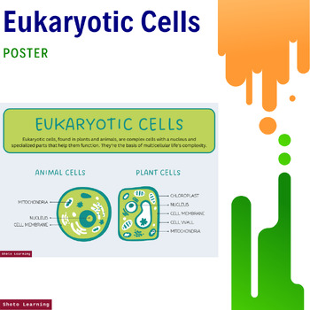 Discover Eukaryotic Cells Unveiling Animal And Plant Cell Structures