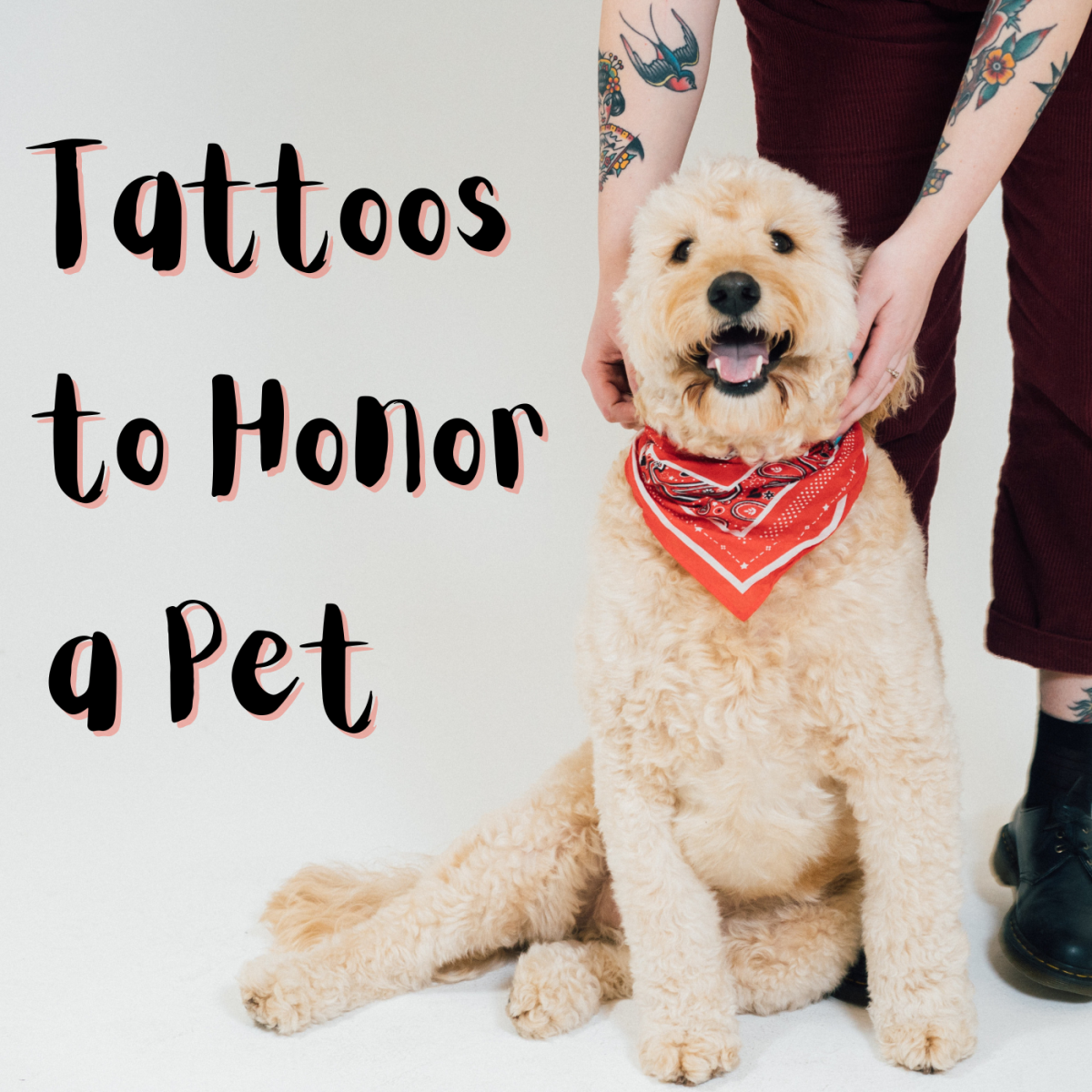 Dog Paw Print Memorial Tattoos Fitygator