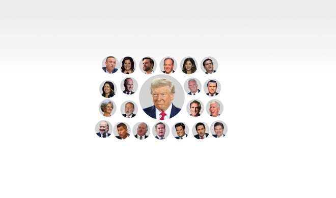 Donald Trump Cabinet Update Who Are Picks For White House Roles So Far