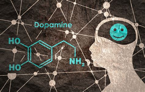 Dopamine Comment Fonctionne L Hormone Du Bonheur