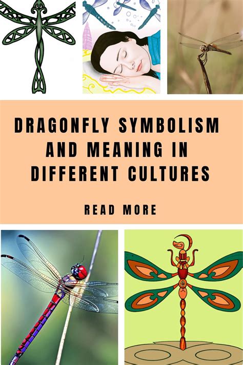 Dragonfly Symbolism And Meaning In Different Cultures