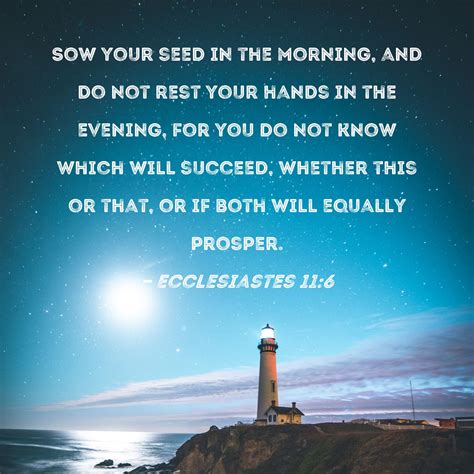 Ecclesiastes 11 6 Sow Your Seed In The Morning And Do Not Rest Your