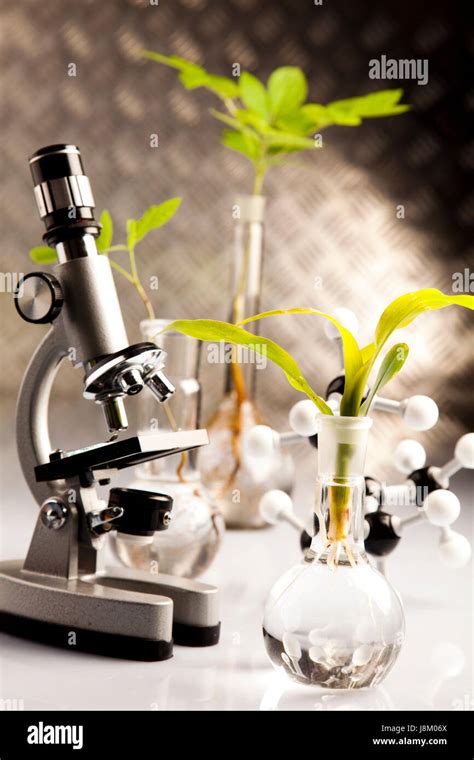 Ecology Laboratory Chemistry Recycling Biotechnology Botanical Ecology Laboratory Chemistry Recycling Biotechnology Botanical
