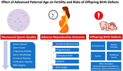 Effects Of Advanced Paternal Age On Fertility