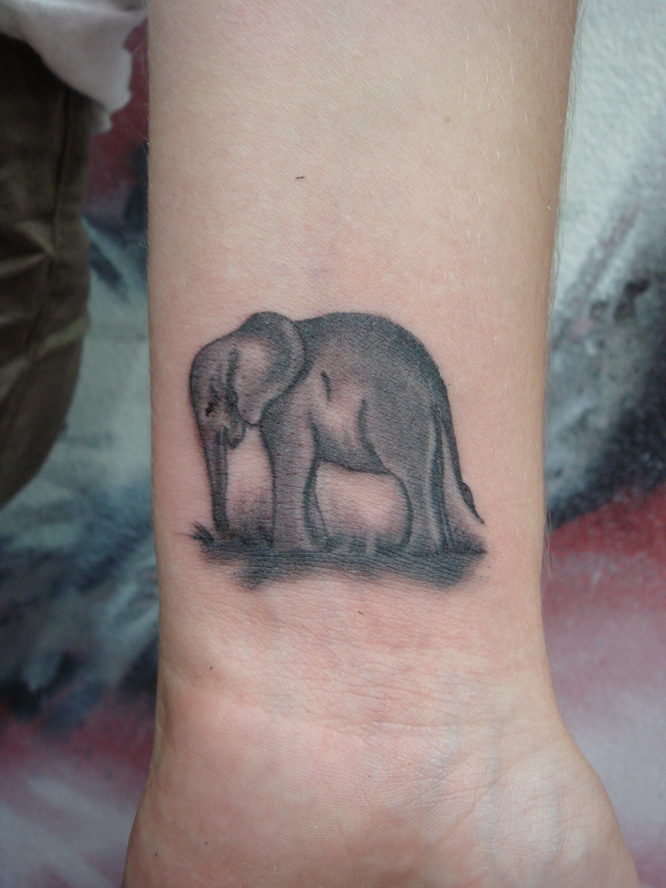 Elephant Tattoos For Women: Top 5 Trendy Designs