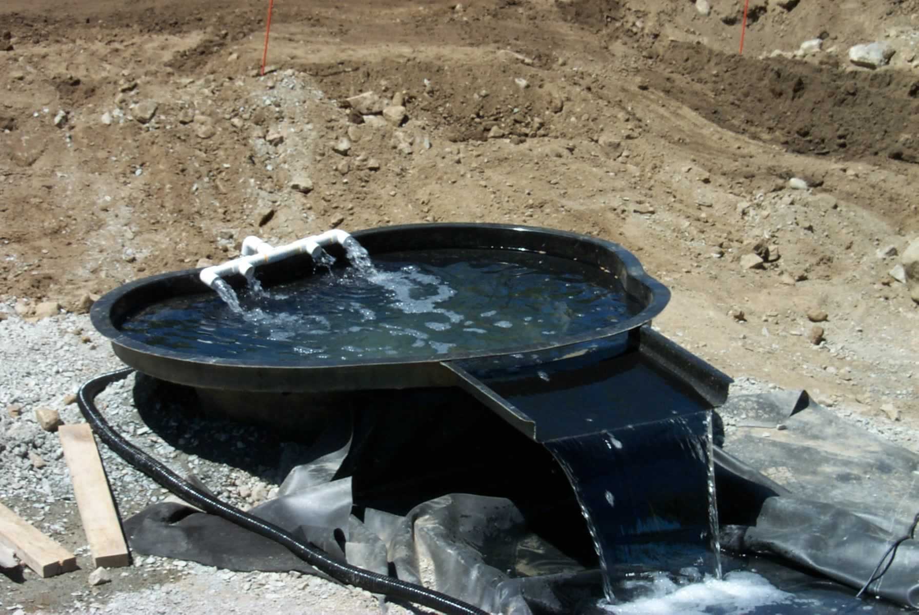 Enhance Your Pond With A Wetland Filtration System