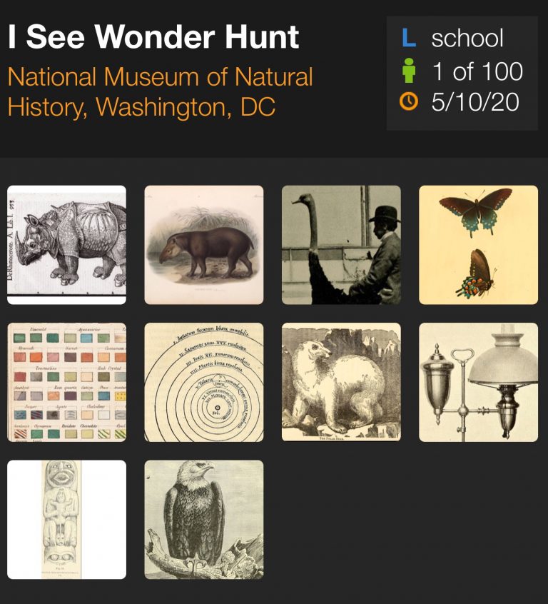 Explore Natural History Collections With I See Wonder Hunt