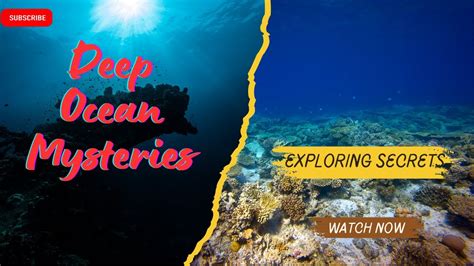 Exploring The 5 Deep Ocean Mysteries Youtube Exploring The 5 Deep Ocean Mysteries Youtube