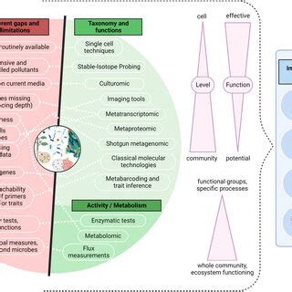 Figure 1 From Unlocking Secrets Of Microbial Ecotoxicology Recent Figure 1 From Unlocking Secrets Of Microbial Ecotoxicology Recent