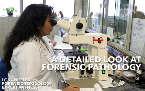 Forensic Pathology