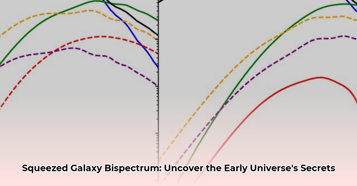 Galaxy Squeezed Limits: Bispectrum Insights Unveiled