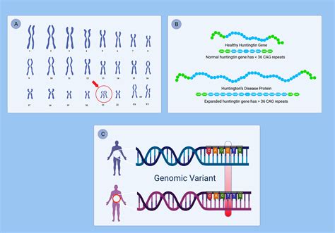 Unraveling the Genetic Sequence: Six Genes Decoded