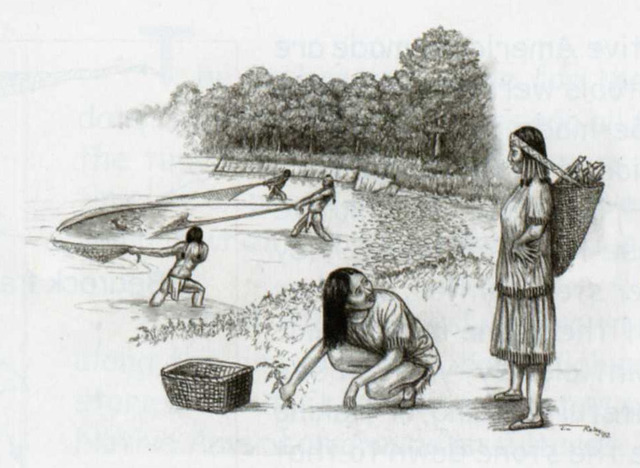 Georgia History Timeline Timetoast Timelines