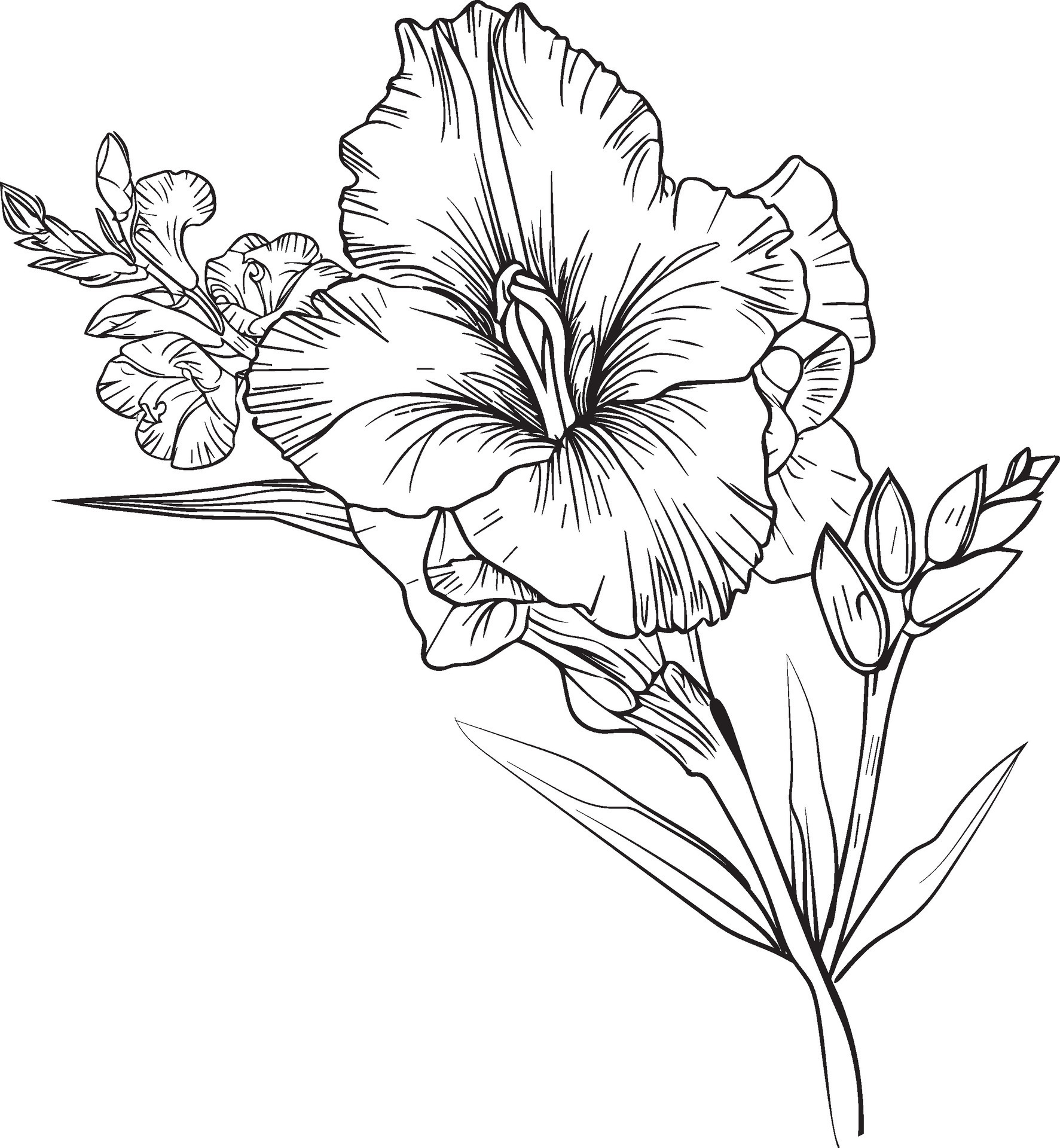 Gladiolus Tattoo Ideas for August Birth Flower Enthusiasts  
Stunning Gladiolus Tattoos for August Birthdays  
August Birth Flower: Gladiolus Tattoo Inspiration