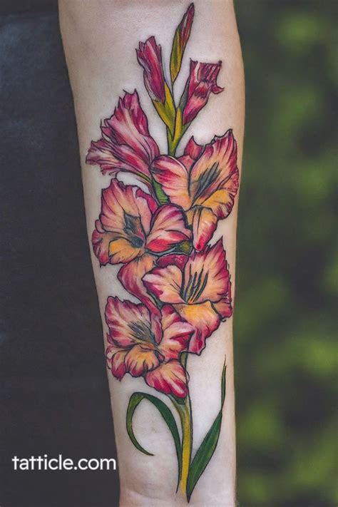 Gladiolus Tattoos Designs Ideas And Meaning Tattoos For You