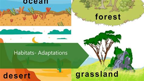 Habitats And Adaptations Ppt Video Online Download