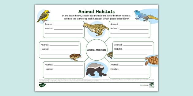 Habitats Mind Map Animal Habitat Science Twinkl