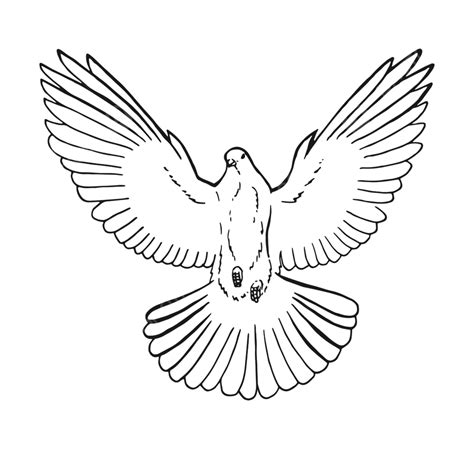 Hand Drawn Dove Outline Style Wing Ink Png And Vector With