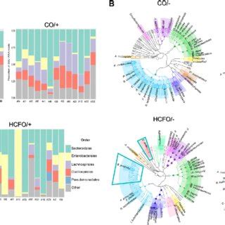 HCFO Research Contacts: Key Connections for Insights