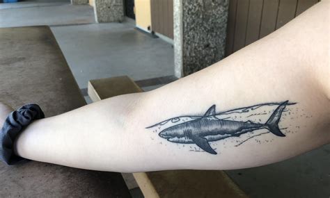 Healed Shark Tattoo Done By Zachary Bailey New Rose Tattoo In