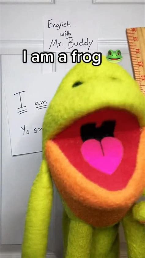 How To Say I Am A Frog In Spanish Arte