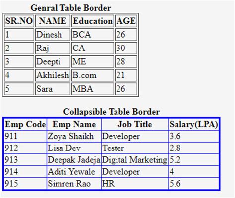 Html Table Border Collapse Elcho Table
