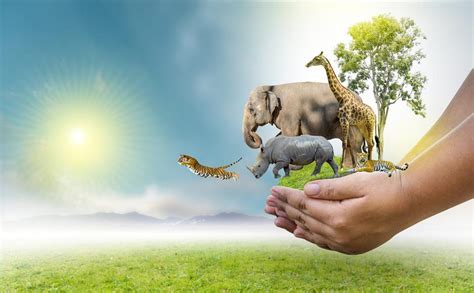 Exploring Hud's Natural Habitat: A Comprehensive Guide