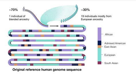 Human Genome Sequenced Scientists Finally Sequence Entire Genome
