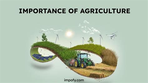 Importance Of Agriculture In The Progress Of Humanity Impofy