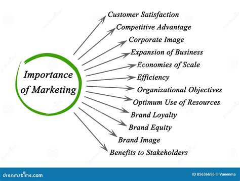 Importance Of Marketing In Business Strategies For Success Importance Of Marketing In Business Strategies For Success