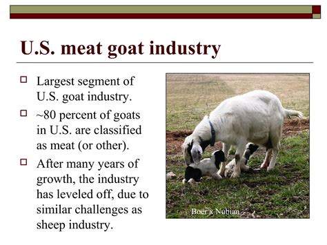industry segment goat: Emerging Trends & Opportunities