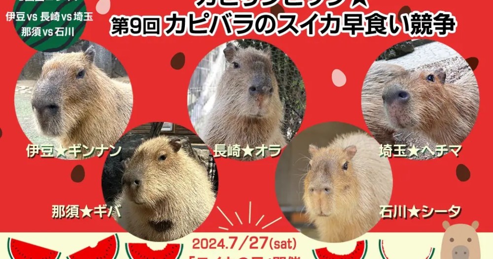 Japan S Capylympics Capybara Watermelon Eating Contest Brings New