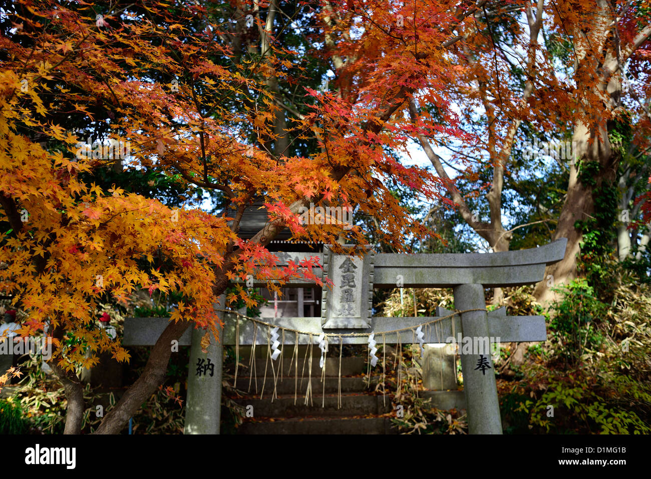 Japanese Shinto Shrine In Deep Forest Stock Photo Image Of Japanese