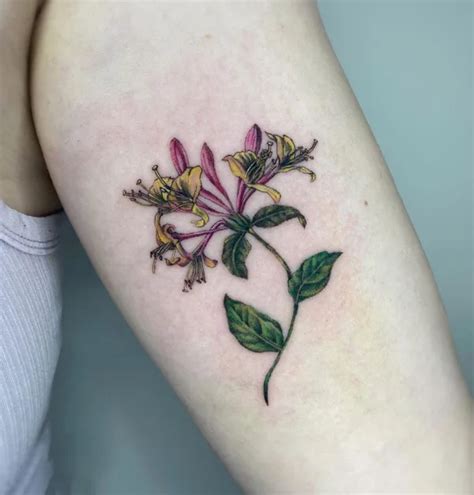 June Birth Flower Honeysuckle Tattoo Ideas & Meanings