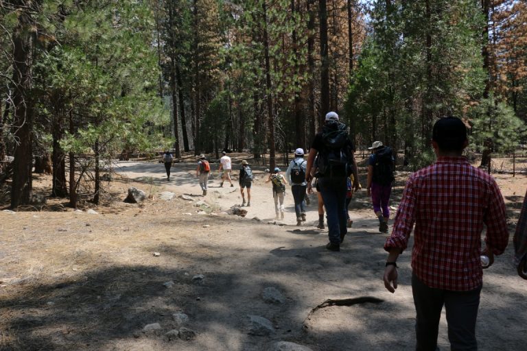 Kings Canyon Sequoia National Parks Fiddlings
