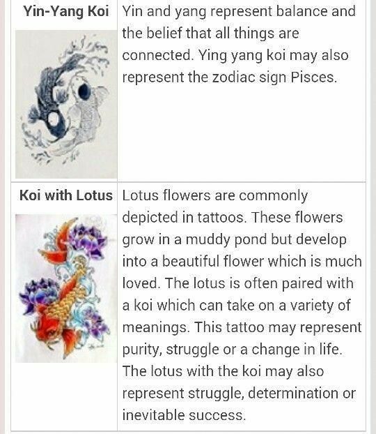 Koi Fish Meaning Unlock The Power Koi Fish Meaning And Feng Shui Koi Fish Meaning Unlock The Power Koi Fish Meaning And Feng Shui