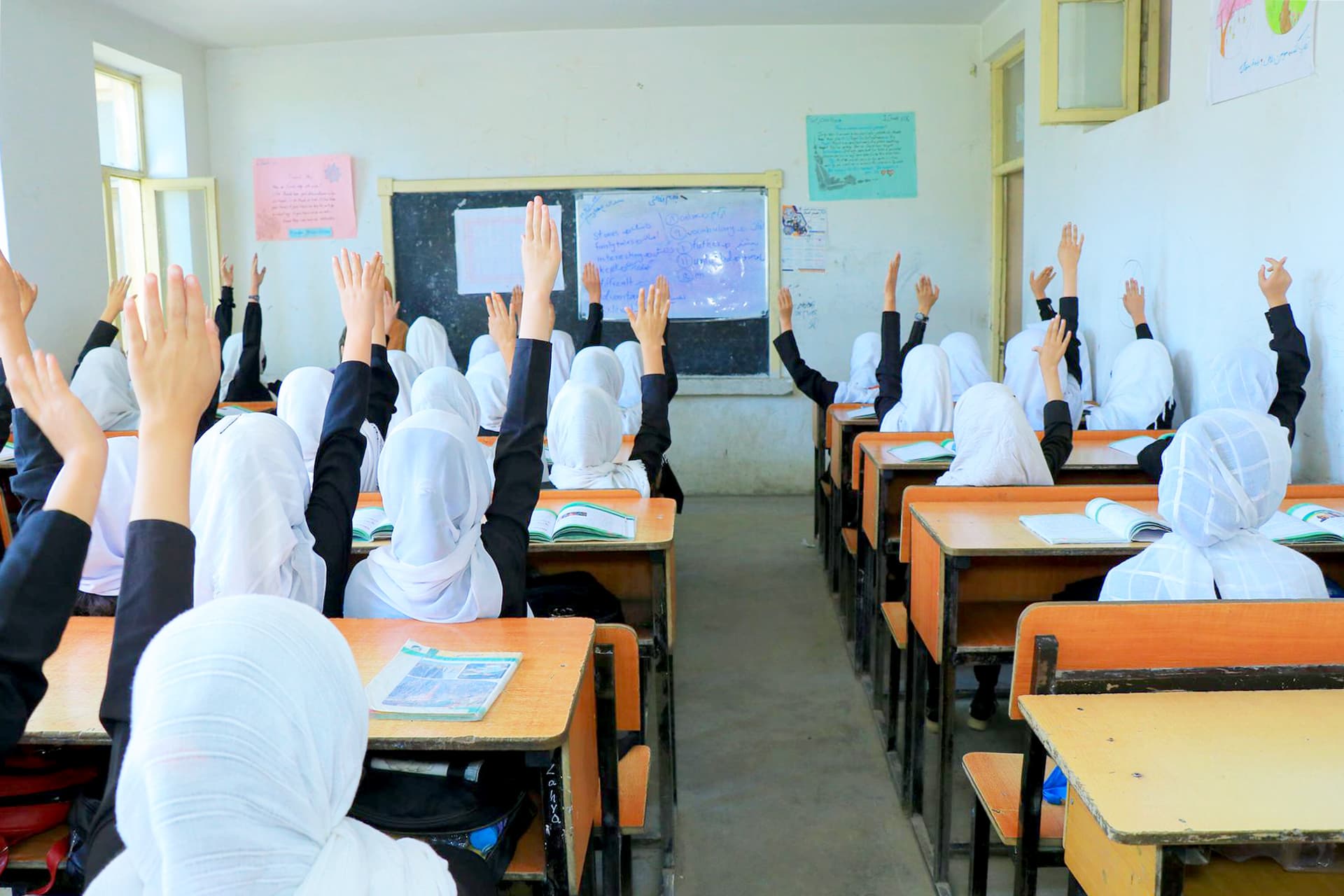 Kqed Highlights Efforts To Support Afghan Scholars Including