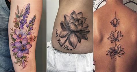 Larkspur And Water Lily Tattoo The Symbolism Unveiled Larkspur And Water Lily Tattoo The Symbolism Unveiled