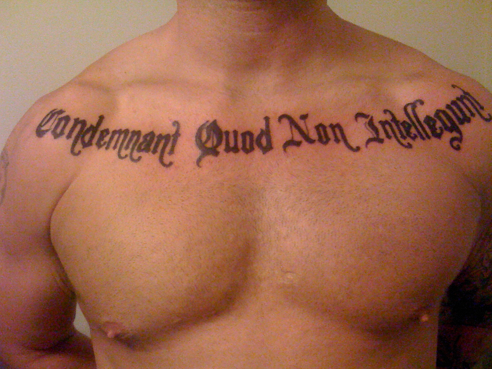 Latin Quotes For Tattoos: Elegant Ink Ideas & Meanings