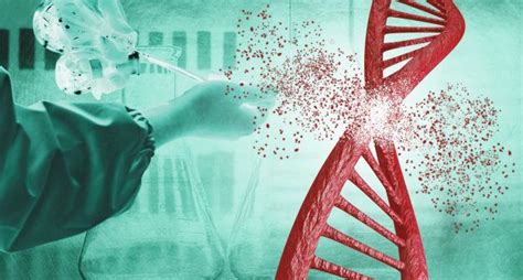 Les 10 Principales Innovations Biotechnologiques Que Vous Devez Les 10 Principales Innovations Biotechnologiques Que Vous Devez