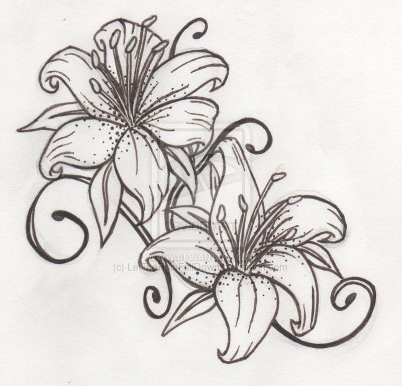 Lily Tattoo Drawings