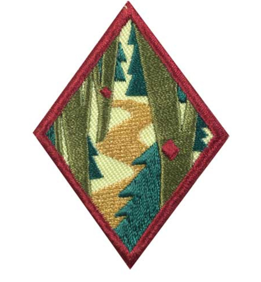 Essential Trailblazing Requirements for Success