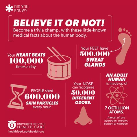 Little Known Medical Facts University Of Utah Health